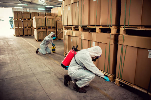 Best Best Pest Control Companies  in Perry, GA