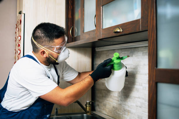 Best Ant Control Services  in Perry, GA