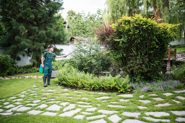 Wasp Removal Services in Perry, GA