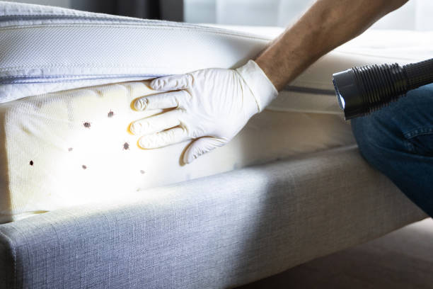 Best Rat Extermination Near Me  in Perry, GA