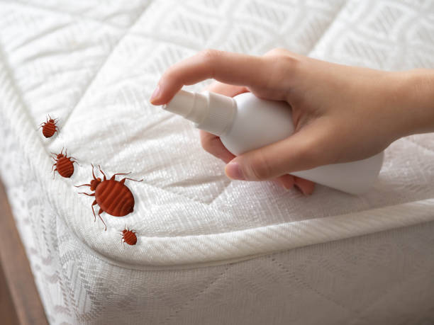 Best Ant Control Services  in Perry, GA