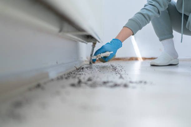 Best Pest Inspection Near Me  in Perry, GA